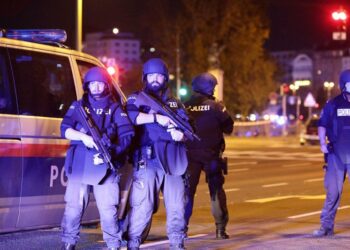 SULMI NË VJENË/ AUTORI DHE NJË NGA VIKTIMAT, SHQIPTARË NGA MAQEDONIA E VERIUT. DËSHMIA E FQINJVE…