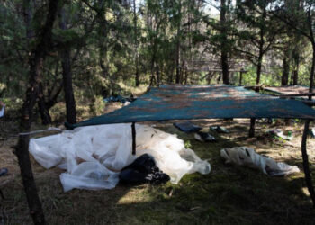 Goditen 2 grupet e trafikantëve në Spanjë, sekuestrohen 18.5 tonë marihuanë, arrestohen 13 shqiptarë