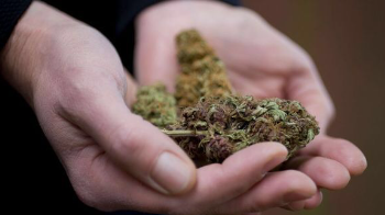 Katër të arrestuar në Shkodër/ Fshehën drogë brenda kovës me djathë