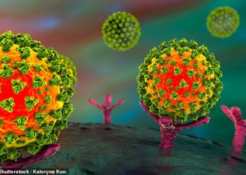 Pse pacientët me këto dy sëmundje kanë më shumë të ngjarë të vdesin nga Covid-19. Çfarë zbulon studimi më i fundit