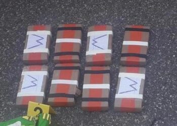 Operacioni i bujshëm në Elbasan/ Gjykata lë në burg gjashtë të arrestuarit e “grupit të heroinës”