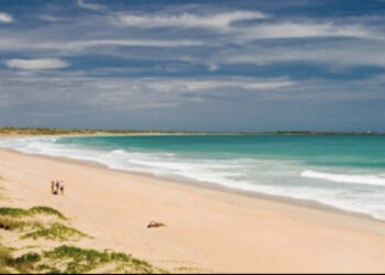 E rëndë! Sulmohet për vdekje nga peshkaqeni një person në Australi, iu dha ndihma e parë por…