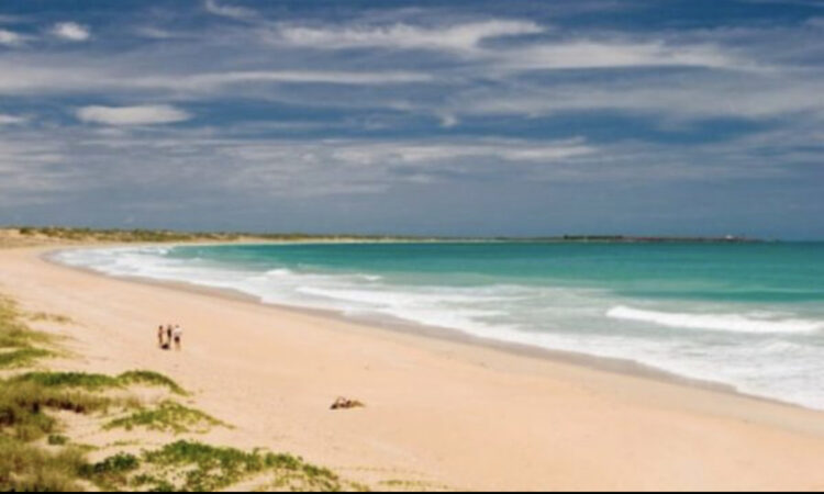 E rëndë! Sulmohet për vdekje nga peshkaqeni një person në Australi, iu dha ndihma e parë por…