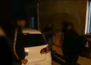 Goditet grupi kriminal që ndihmonte emigrantët e paligjshëm të qarkullonin, mes të arrestuarve edhe organizatori (DETAJET)