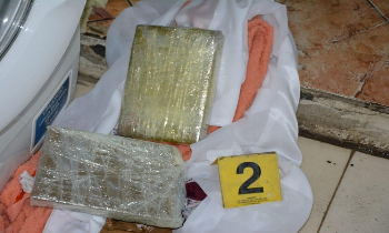 Lezhë/ Kapet me 1.2 kg kokainë, arrestohet 50-vjeçarja