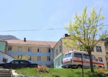 E rëndë/ Fëmija 4-vjeçar kafshohet nga qentë