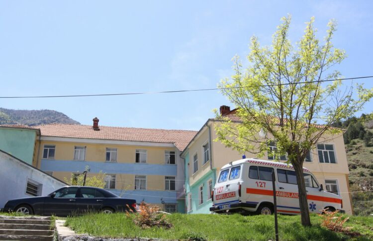 E rëndë/ Fëmija 4-vjeçar kafshohet nga qentë