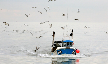 Kapen 69 shqiptarë në një anije peshkimi duke zbarkuar në Angli