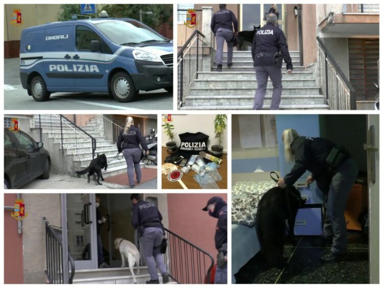 SHISNIN DERI 1 KG KOKAINË NË MUAJ, TRE VELLEZËRIT SHQIPTARË PERFUNDOJNË NË PRANGA