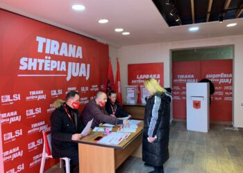 Zgjedhjet brenda LSI