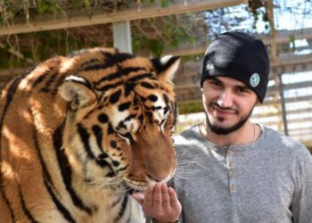 VRAU CIFTIN NË MALTË, SHQIPTARI DANIEL MUKA TENTON TË ARRATISET NGA BURGU