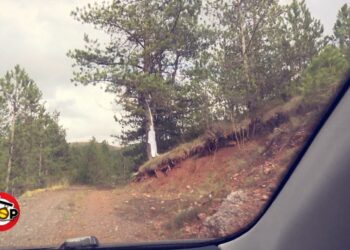 I riu u gjet i vrarë në pyll, çështja u mbyll si vetëvrasje, por në komisariatin dixhital mbërritën dy denoncime në të njëjtën ditë. Çfarë tha e dashura