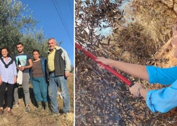 Ambasadorja Yuri Kim poston foto duke vjelur ullinj