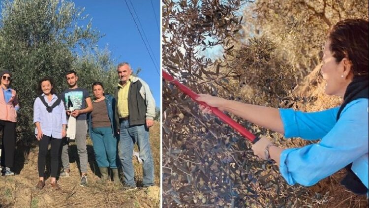 Ambasadorja Yuri Kim poston foto duke vjelur ullinj