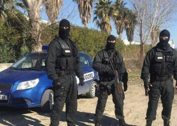 45-vjeçari qëllon me armë drejt Policisë dhe arratiset në pyll, RENEA dhe FNSH nisen me urgjencë drejt Elbasanit