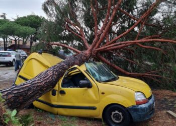 Itali/Tornado godet Romën, krijohen përmbytje të mëdha, qindra makina shkatërrohen