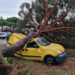 Itali/Tornado godet Romën, krijohen përmbytje të mëdha, qindra makina shkatërrohen