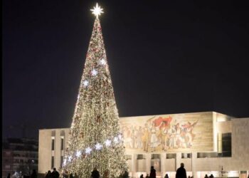 Foto ilustruese nga pema në qendër