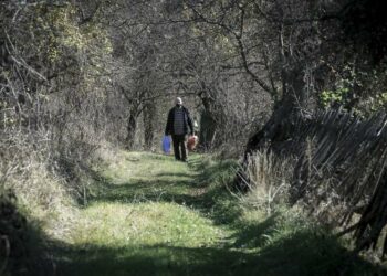 FOTO/ Njihuni me shqiptarin që kujdeset për të moshuarën serbe të vetmuar