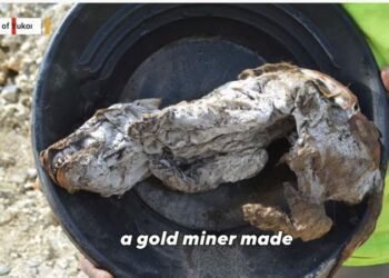 E rrallë!/ Shkencëtarët zbulojnë trupin e një ujku 56 mijë vite të vjetër(VIDEO)