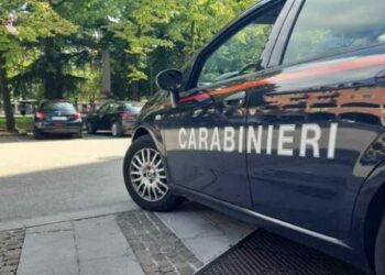 Trafik droge nga Shqipëria në Itali, 18 të arrestuar. Karabinierët aksion edhe në Udine. Ja kush e zbuloi rrjetin kriminal