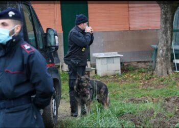 Pamje nga vendngjarja