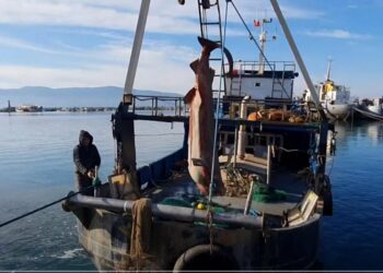 Kapet peshkaqeni 6 metra i gjatë në Vlorë