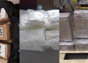 Operacion antidrogë në 4 shtete/ Arrestohen shqiptarë e të huaj, sekuestrohen 232 kg kokainë, armë dhe 200 mijë euro(EMRAT+ DETAJET)