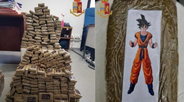 Foto e postuar nga policia