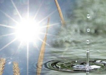 Parashikimi i motit për sot