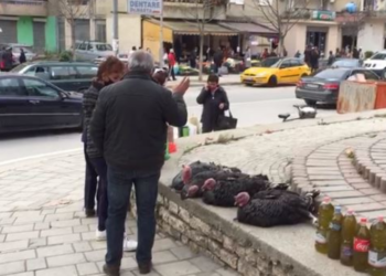Pasojat e pandemisë tek festat e fundivitit/ Bie çmimi i gjelit në Berat, tregtarët: Nuk ka fuqi blerëse