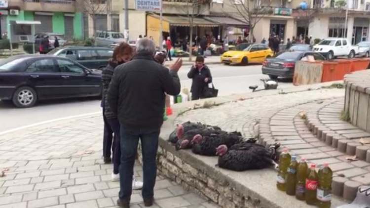Pasojat e pandemisë tek festat e fundivitit/ Bie çmimi i gjelit në Berat, tregtarët: Nuk ka fuqi blerëse