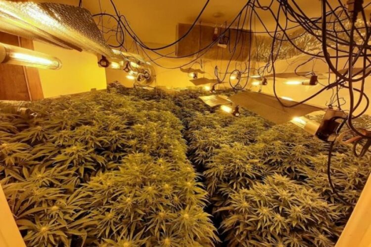 Vijnë me kamion dhe paguajnë shuma të frikshme për avokatë: Gjyqtari britanik, i shqetësuar për shqiptarët