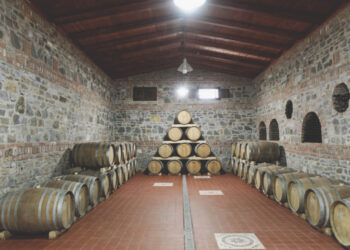 Kantinat lanë pas një vit të vështirë, 2021 i zymtë e mes dilemash