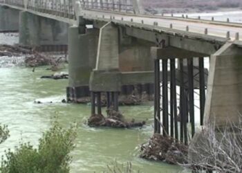 Ura e Zogut në Milot