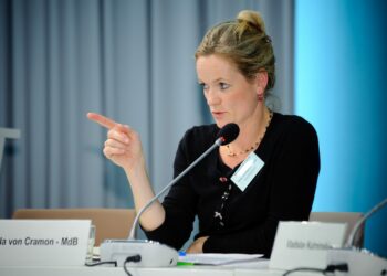 “Shpresoj që BE do t’i liberalizojë vizat këtë vit”, raportuesja në PE: BE dhe SHBA të flasin me një zë për Kosovën