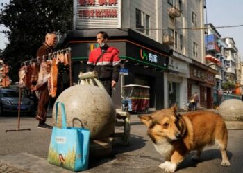 FOTO/ Jeta në Wuhan, 1 vit pas shpërthimit të pandemisë