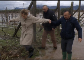 Gjetan o ftohesh’/ Kryemadhi shkon në Laç, shikon nga afër tokat e përmbytura: Faj kemi dhe ne që mbyllim sytë