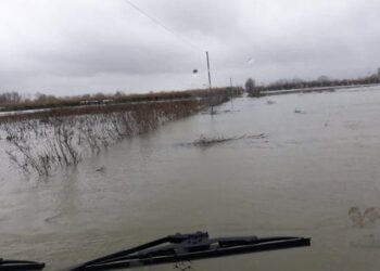 Përmbytje masive në Lezhë, lumi Drin dhe Gjadër dalin nga shtrati, 600 ha tokë nën ujë