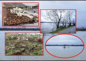 Fryhet Shkumbini, rrezikon të dalë nga shtrati! Në Kurbin shkatërrohet rruga në fshatin Shpërdhet, dhjetra familje evakuuohen në Lezhë