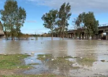 Vjosa del nga shtrati dhe përmbyt pazarin e Mifolit në Vlorë