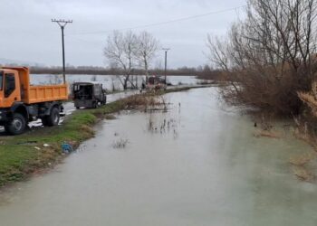 Dëmet nga shirat/ Bashkia Shkodër bën bilancin: Janë përmbytur 1823 ha tokë