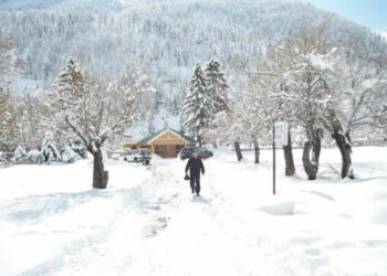 Bujtinat në Valbonë humbasin të gjitha fitimet e sezonit nga mungesa e energjisë elektrike