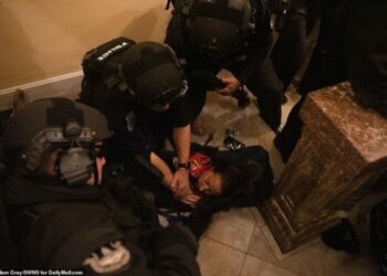 Pamje TRONDITËSE/ Momenti kur gruaja qëllohet me plumb në qafë në Capitol