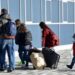 Gjermania trendi i ri emigracionit, në dy vite dyfishohen lejet e qëndrimit