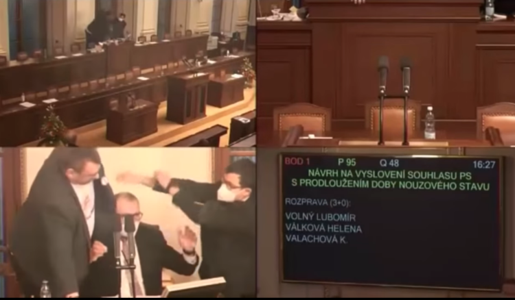 VIDEO/ I ndalën fjalën, deputetët sherr dhe grushta në parlamentin çek