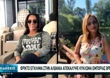 Mediat greke jehonë vrasjes së dyfishtë në Astir: Zbuloi rrjetin e trafikimit të foshnjeve