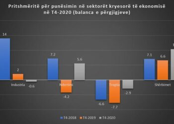 Pritshmëritë për punësimin