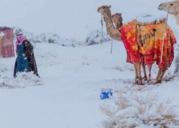 Bora mbulon shkretëtirën e Sahara-s, temperaturat arrijnë në -2 (FOTO)