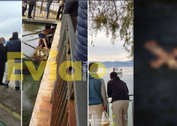 Tentoi të kapte kryqin në ujë, i riu plagoset rëndë në kokë dhe përfundon në koma